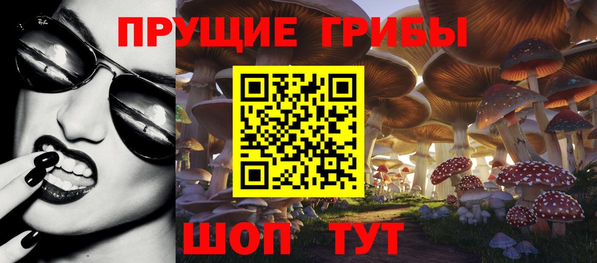 Псилоцибиновые грибы Magic Shrooms  Галлюциногенные грибы Psilocybe  Вход с VPN  Екатеринбург 