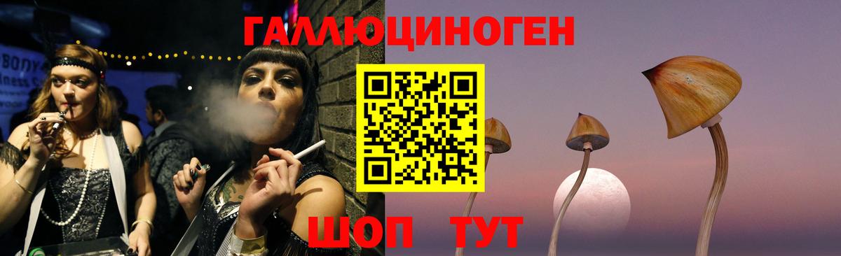 Псилоцибиновые грибы Psilocybe Екатеринбург
